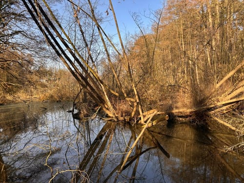 Rundwanderweg Sutschketal