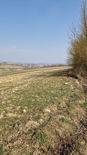 Tremmelhauserhöhe ab Winzerer Höhen