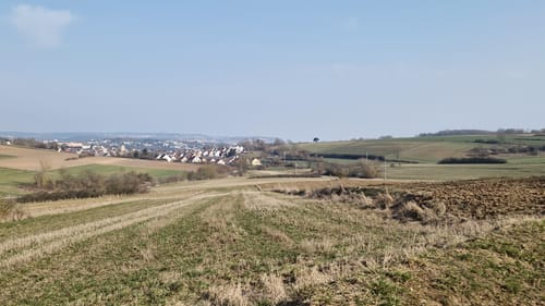 Tremmelhauserhöhe ab Winzerer Höhen