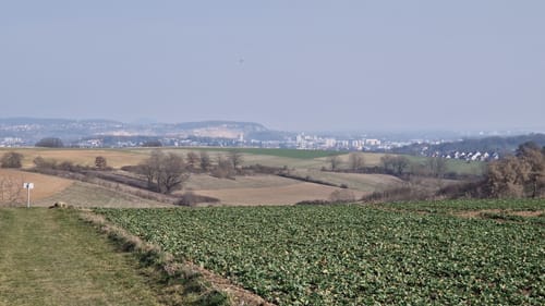 Tremmelhauserhöhe ab Winzerer Höhen