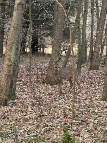 Bad Bramstedt Rundwanderung