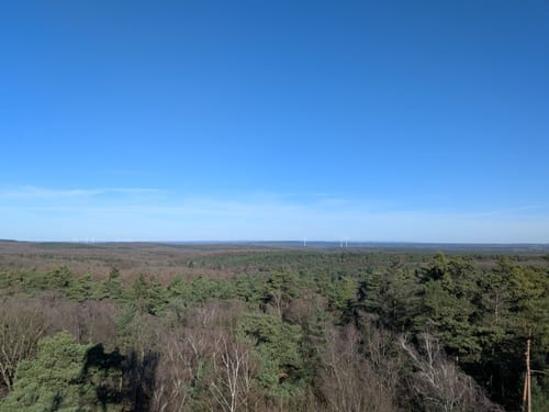 Rundweg um die Haard