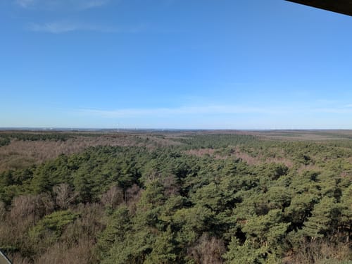 Rundweg um die Haard