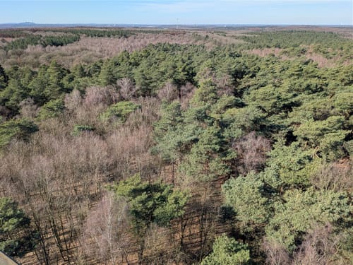 Rundweg um die Haard