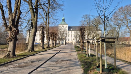 WikingerTörn