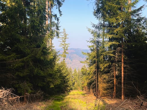 Neckarsteig Etappe 3: Neckarsteinach - Hirschhorn