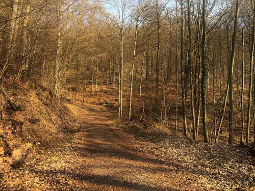 Neckarsteig Etappe 3: Neckarsteinach - Hirschhorn