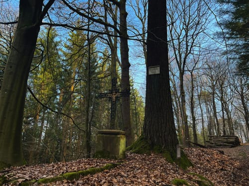 Neckarsteig Etappe 3: Neckarsteinach - Hirschhorn