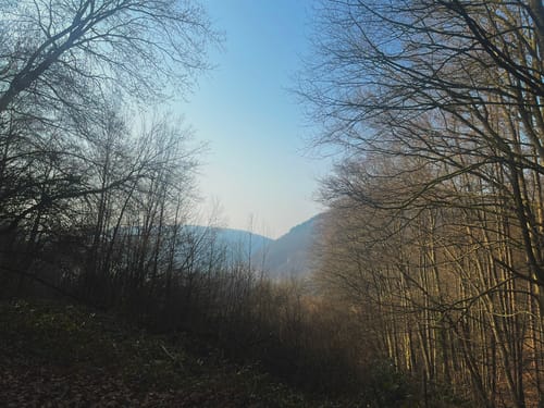 Neckarsteig Etappe 3: Neckarsteinach - Hirschhorn