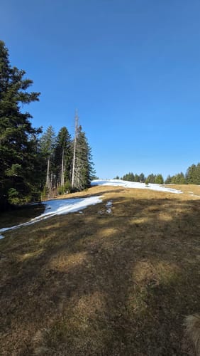 Stallauer Eck - Stallauer Kopf - Angerlkopf - Enzenauer Kopf