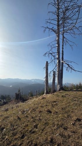 Stallauer Eck - Stallauer Kopf - Angerlkopf - Enzenauer Kopf