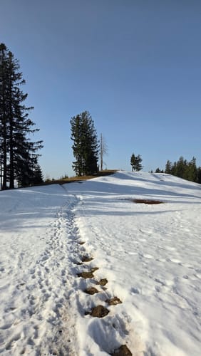 Stallauer Eck - Stallauer Kopf - Angerlkopf - Enzenauer Kopf