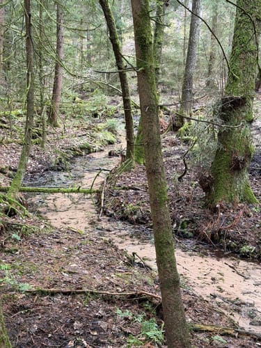 Märchenwanderweg Jesteburg
