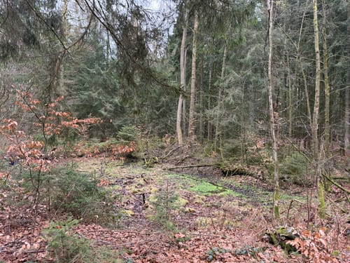 Märchenwanderweg Jesteburg