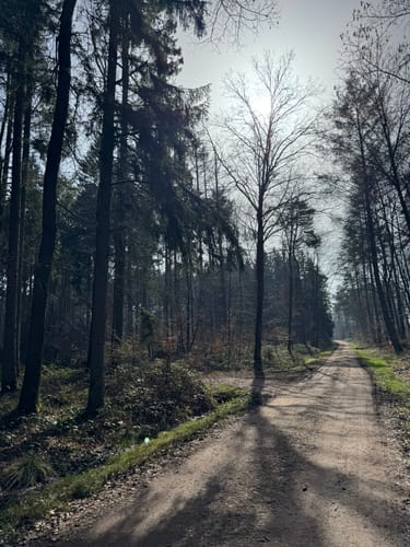 Kylltaler Buntsandsteintour (Premiumwanderweg)