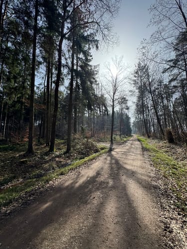 Kylltaler Buntsandsteintour (Premiumwanderweg)