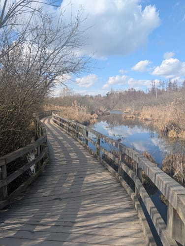 Waldsee, Lübars und Köppchensee