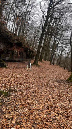 Rundweg Historischer Halberg