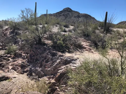 Baker-Milton Trail Loop, Arizona - 66 Reviews, Map | AllTrails