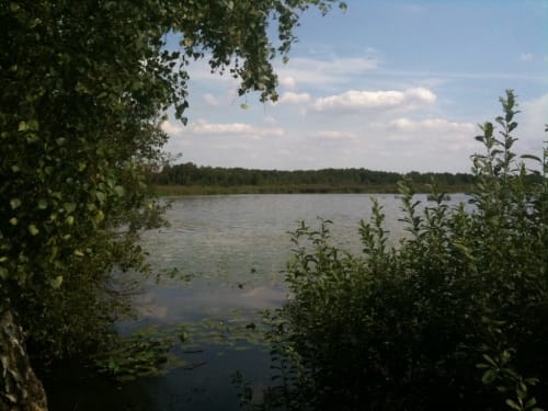 Erlebnisweg Totes Moor