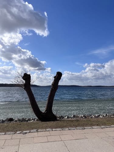 Um den Tiefwarensee
