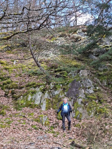 Mittelalterpfad (Traumpfad)