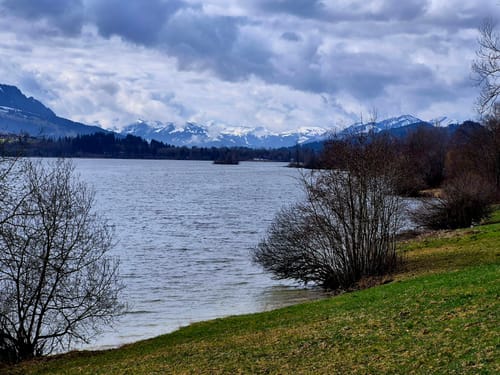 Petersthal - Winkelholz - Reutermoos