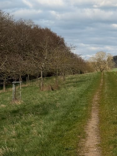 Rundweg Tettingen-Butzdorf