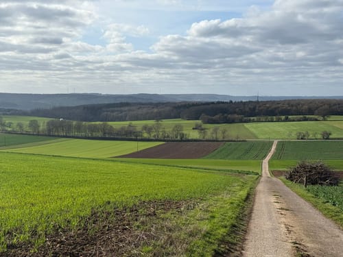 Rundweg Tettingen-Butzdorf