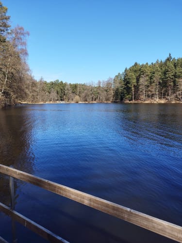 Rund um den Hammersee