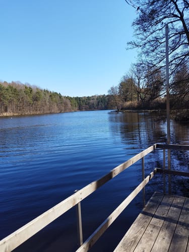 Rund um den Hammersee
