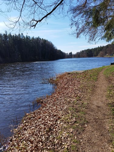 Rund um den Hammersee