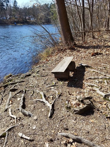 Rund um den Hammersee