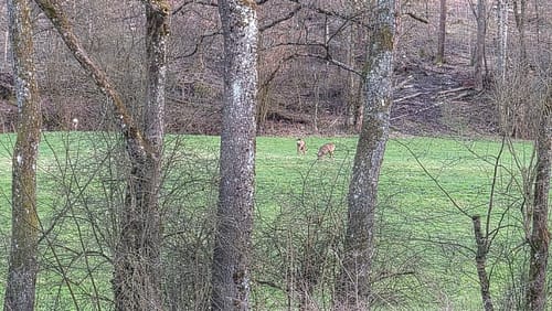 Obersulmer Rundwanderweg 10