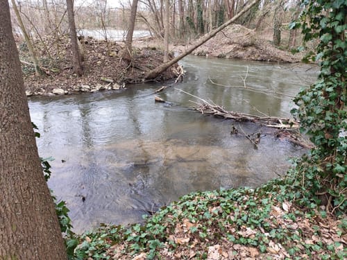 Wörther Wiese an der Pegnitz