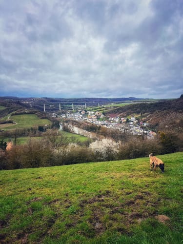 Igel und Liersberg