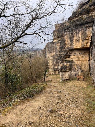 Igel und Liersberg