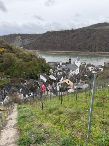 Rheinsteig Etappe 15: St. Goarshausen - Kaub
