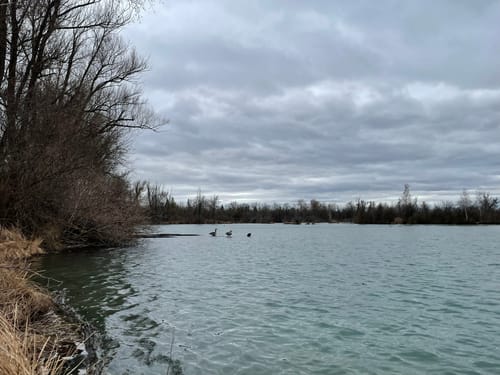 Weitmannsee Rundweg