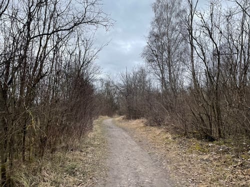 Weitmannsee Rundweg