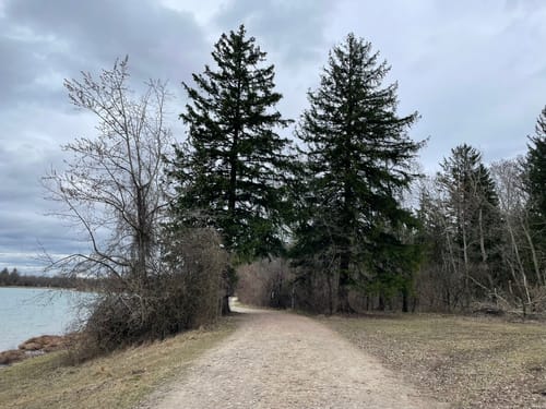 Weitmannsee Rundweg