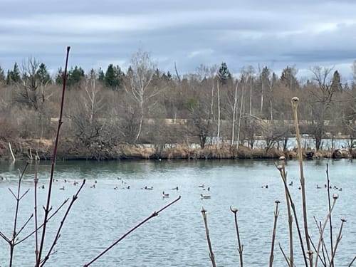 Weitmannsee Rundweg