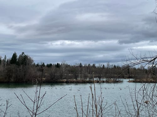 Weitmannsee Rundweg