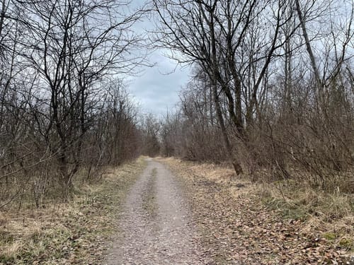 Weitmannsee Rundweg