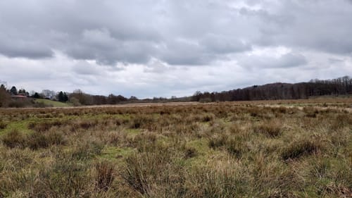 Rund um den Westensee