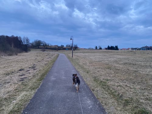 Rundweg um den Grimnitzsee