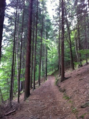 Karl-Stülpner-Rundweg