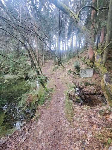 WasserWanderWeg: Clausthaler Teiche