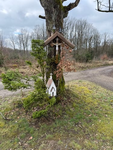 Fachwerkweg Wilder Mann