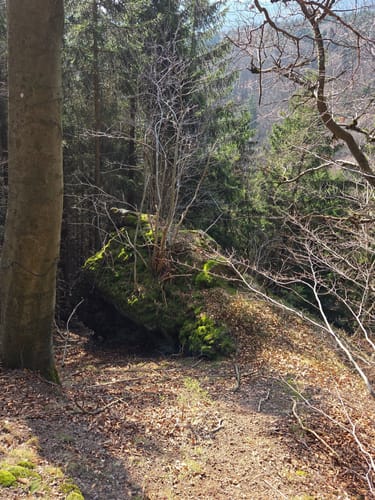Inselsberg Rundweg